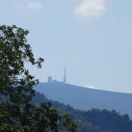 Classic Holiday Home In The Harz Mountains Ilsenburg Bagian luar foto